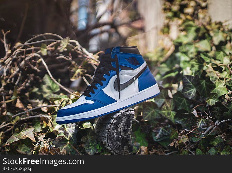 Blue and White Air Jordan 1 on Gray Wood Log at Daytime