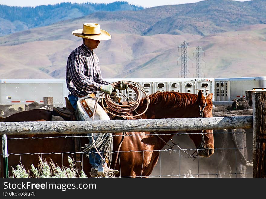 Photography of a Man Riding Horse