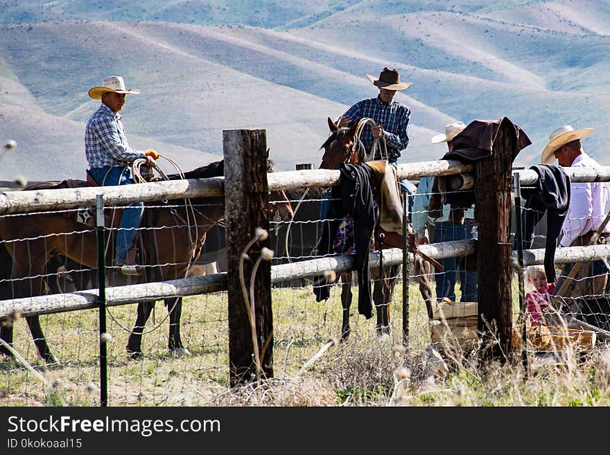 Photography of People Riding Horses