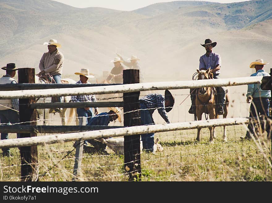 Cowboys Riding a Horse Near Gray Wooden Fence Taken during Dayitme