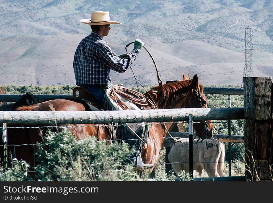 Photography of a Person Riding Horse