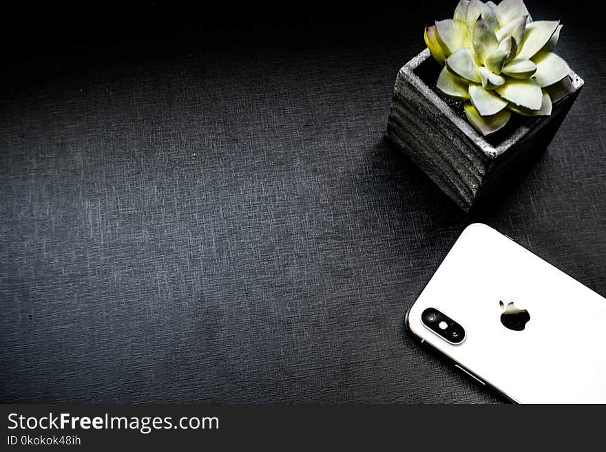 Silver Iphone X Beside Succulent Plant