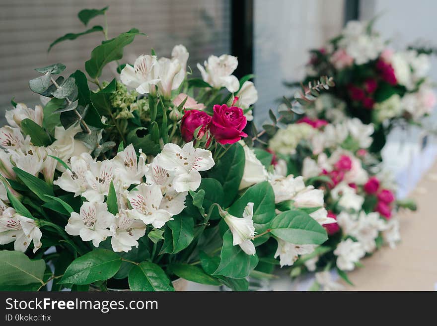 Close-Up Photography of White Flowers