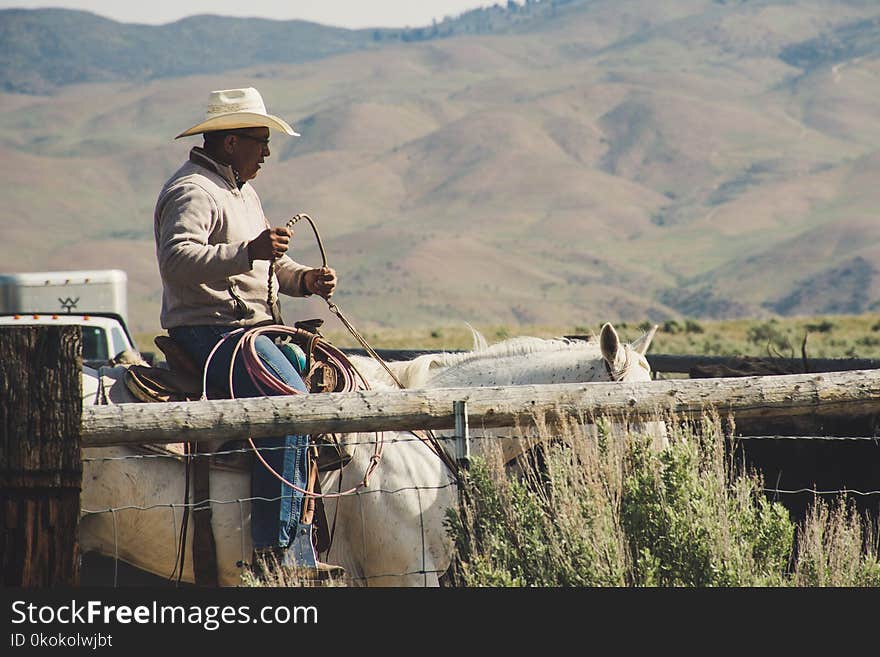 Photo of Man Riding on White Horse