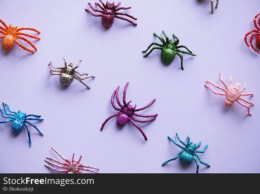 Assorted-color Spider Plastic Toy Collection