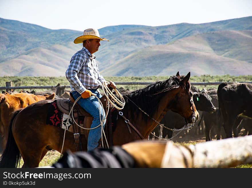 Photography of a Person Riding Horse