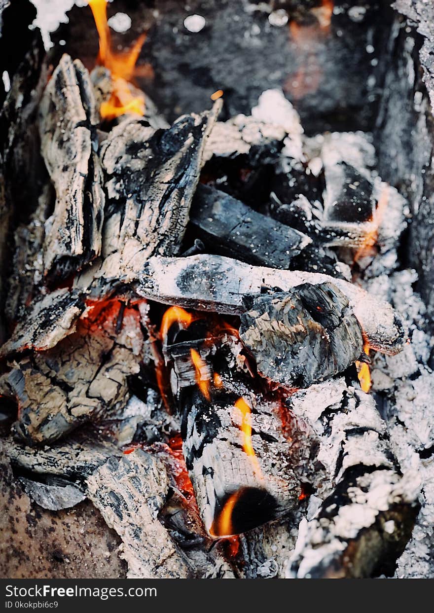 Photo of Pile of Burning Wood