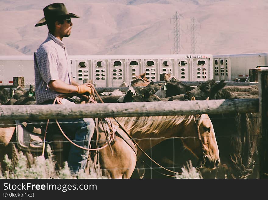 Photography of a Person Riding Horse