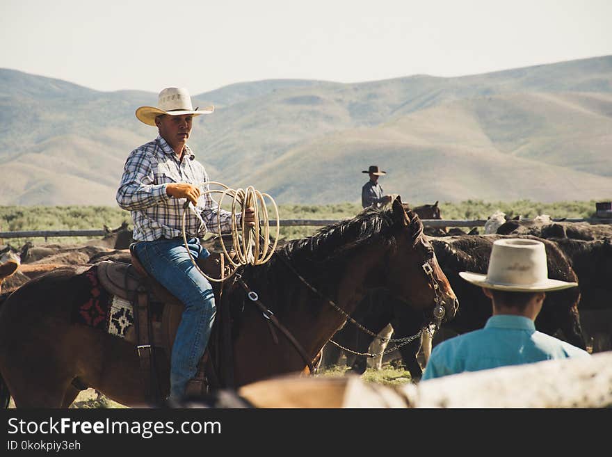 Photography of a Person Riding Horse