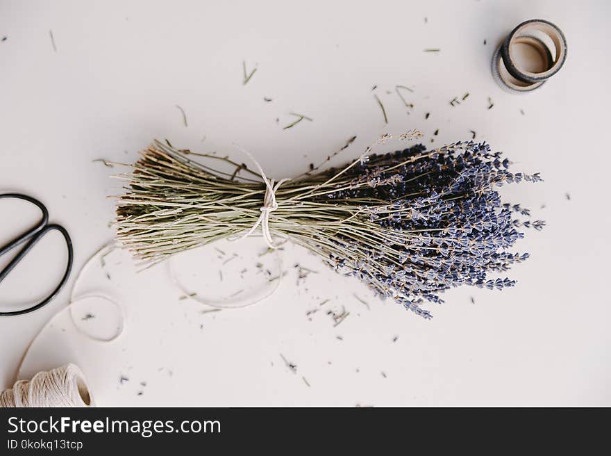 Lavender Flower Bouquet On White Surface