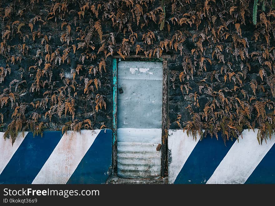 Gray Steel Door