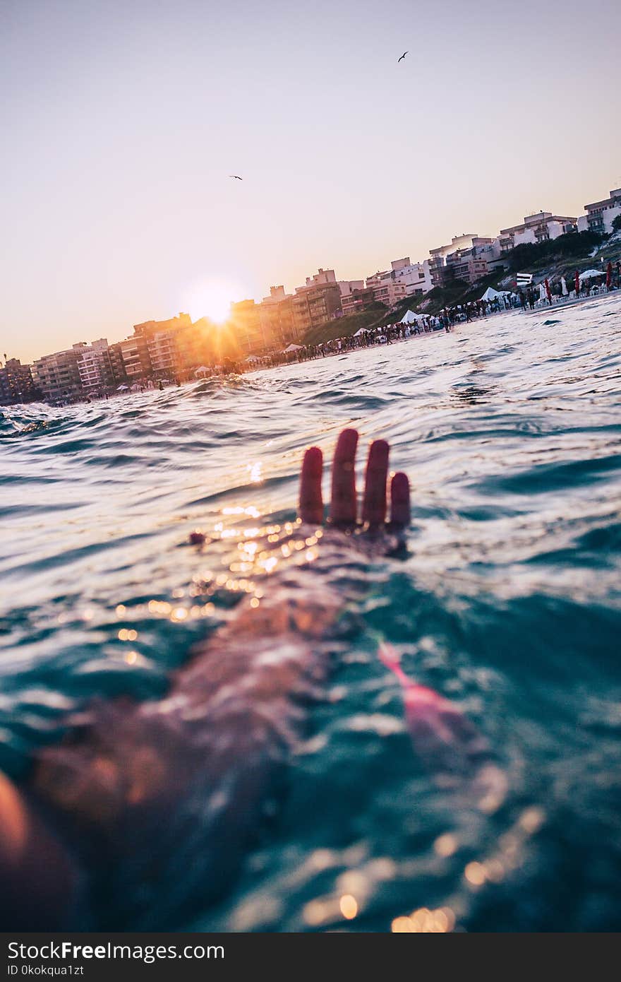 Person Swimming At The Beach