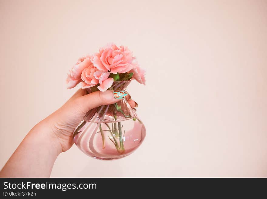 Person Holding Clear Glass Flower Vase With Pink Flowers