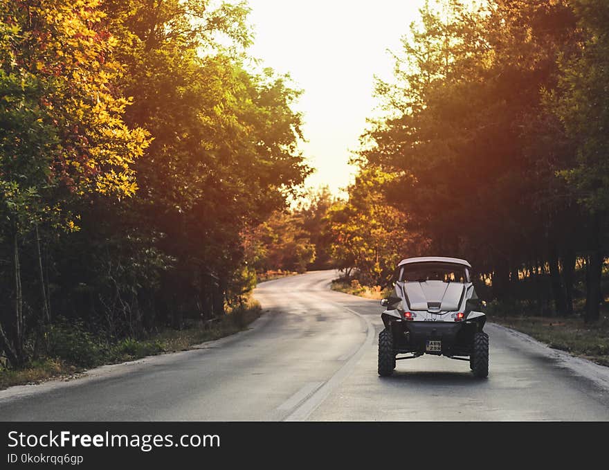 Silver Car in Between Green Leafed Trees