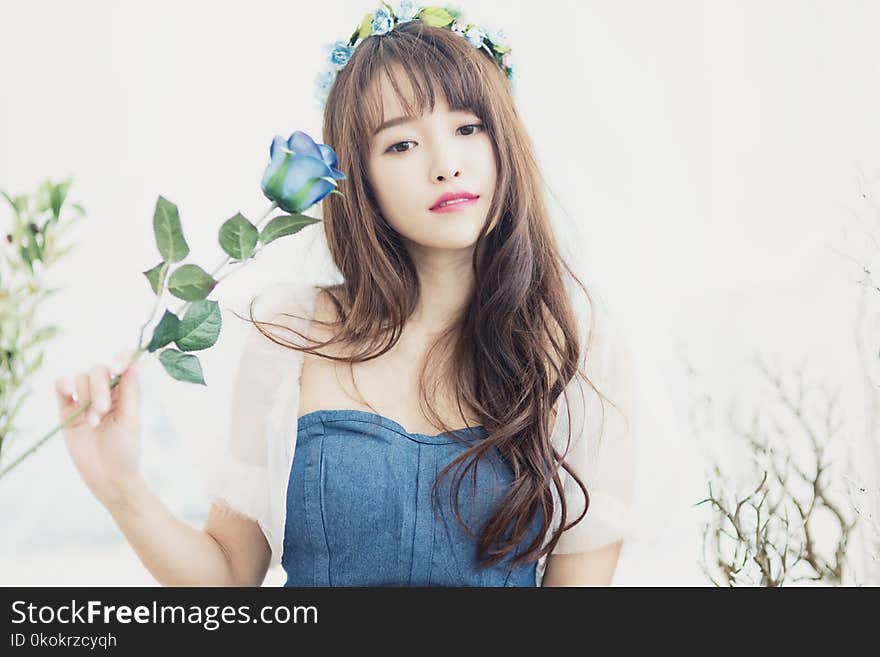 Woman Holding Blue Petaled Flower