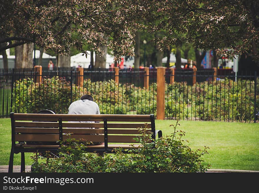 Person Sitting On Brown Wooden Bench