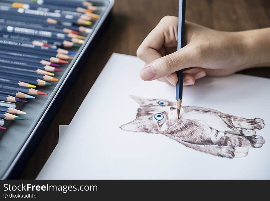 Person Sketching A Kitten