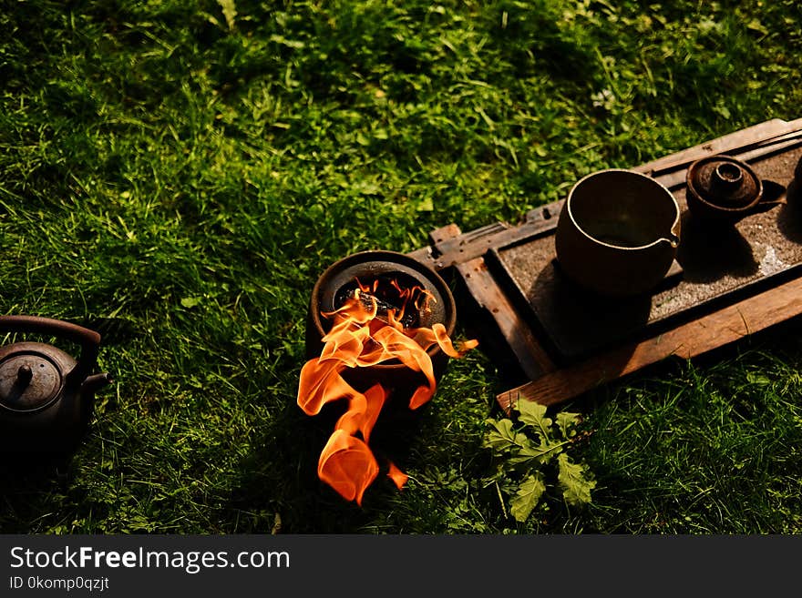 Chinese tea ceremony in a park.