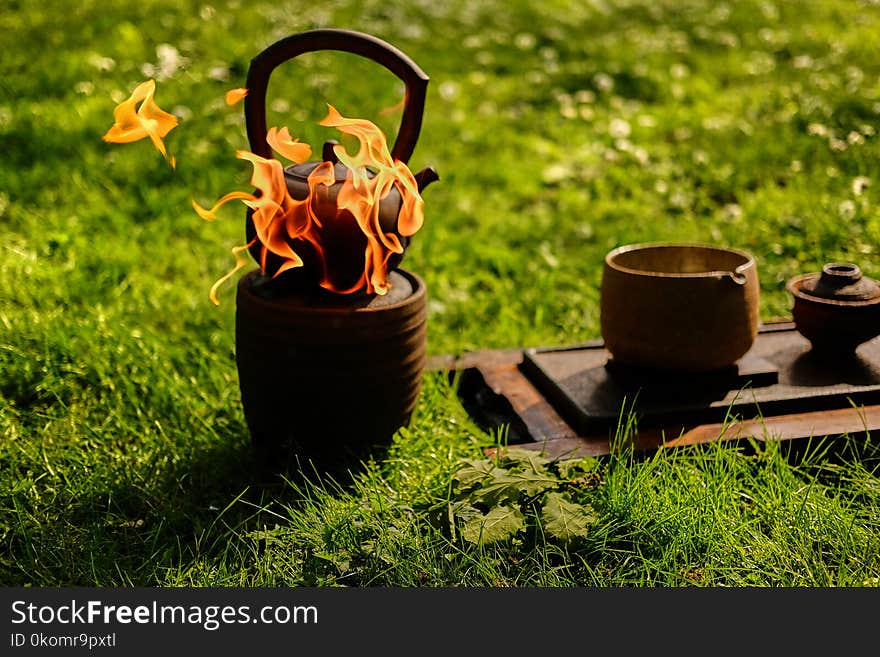 Chinese tea ceremony in a park.