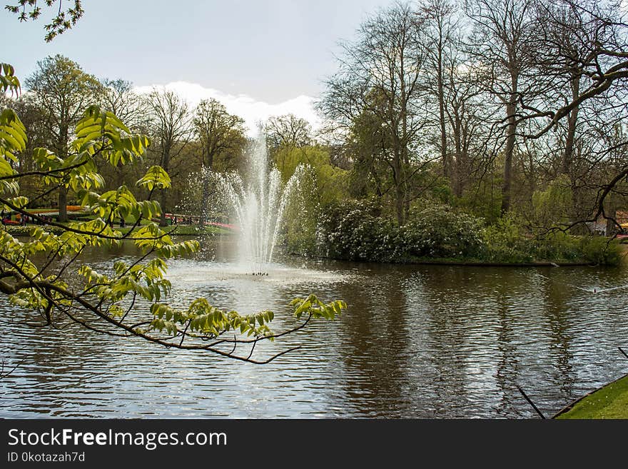 Water, Nature, Body Of Water, Waterway