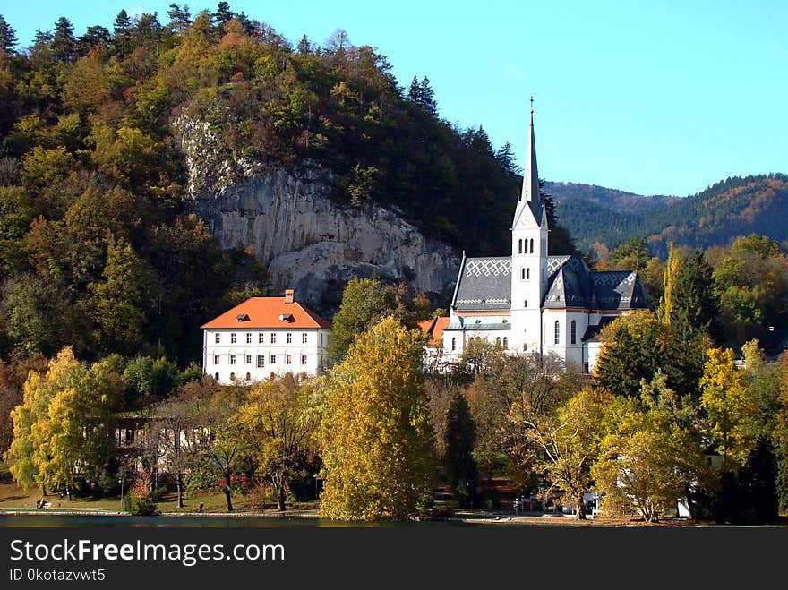 Nature, Tree, Woody Plant, Town