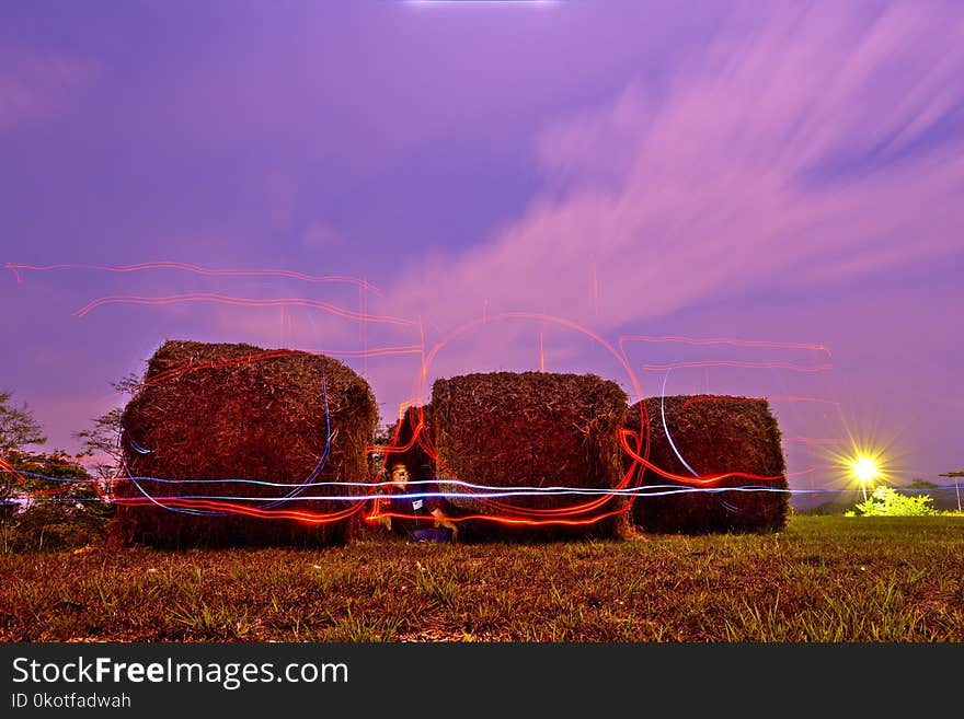 Sky, Field, Hay, Grassland