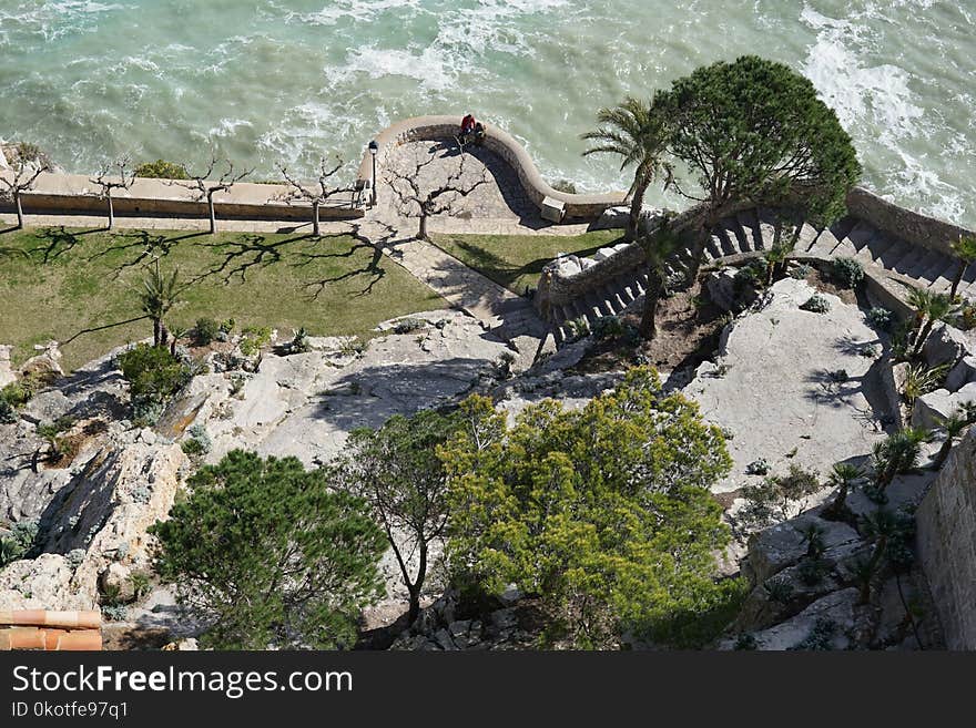 Tree, Water, Rock, Landscape