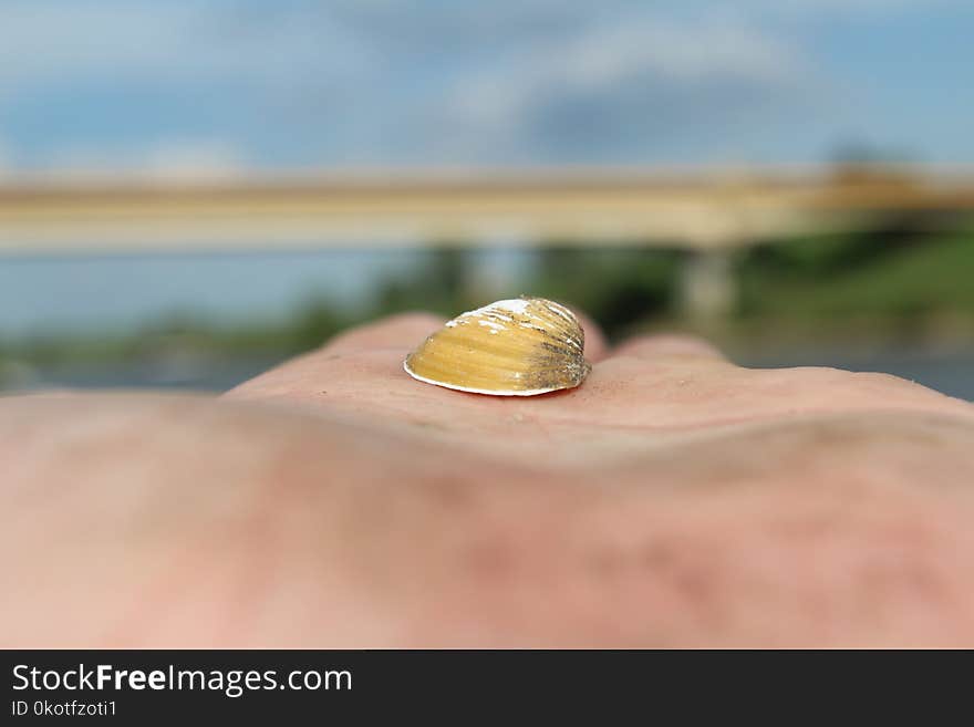 Close Up, Hand, Water, Finger