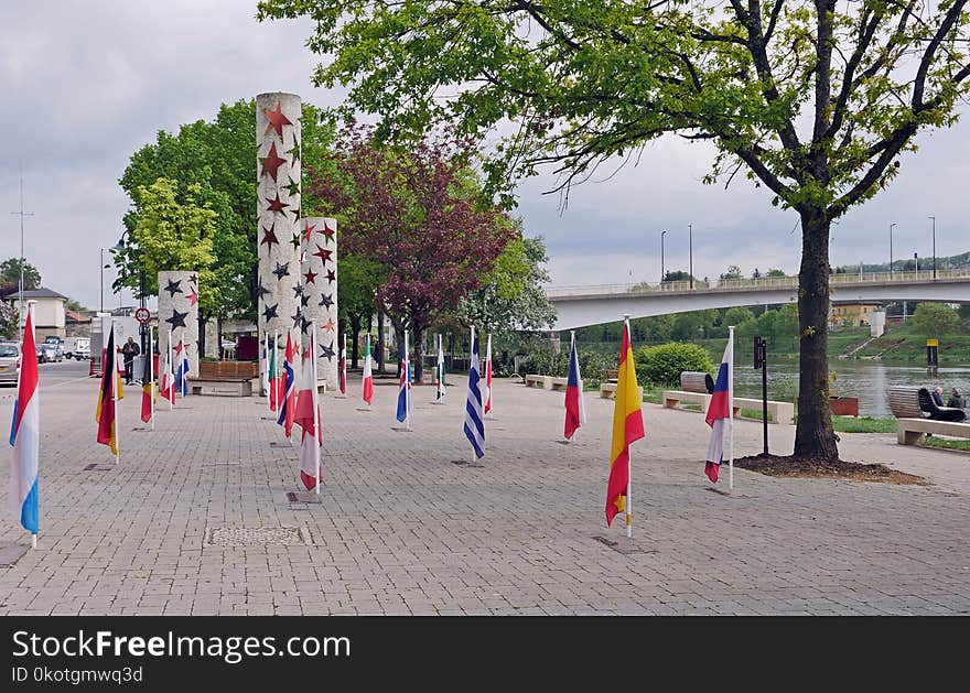 Public Space, Tree, City, Recreation