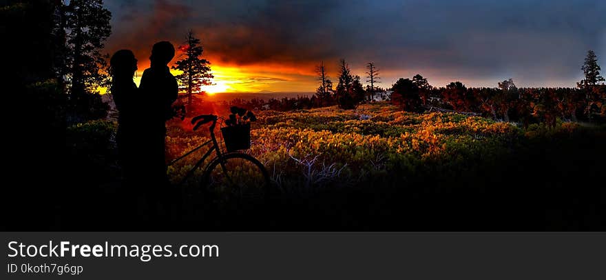 Nature, Sky, Wilderness, Evening