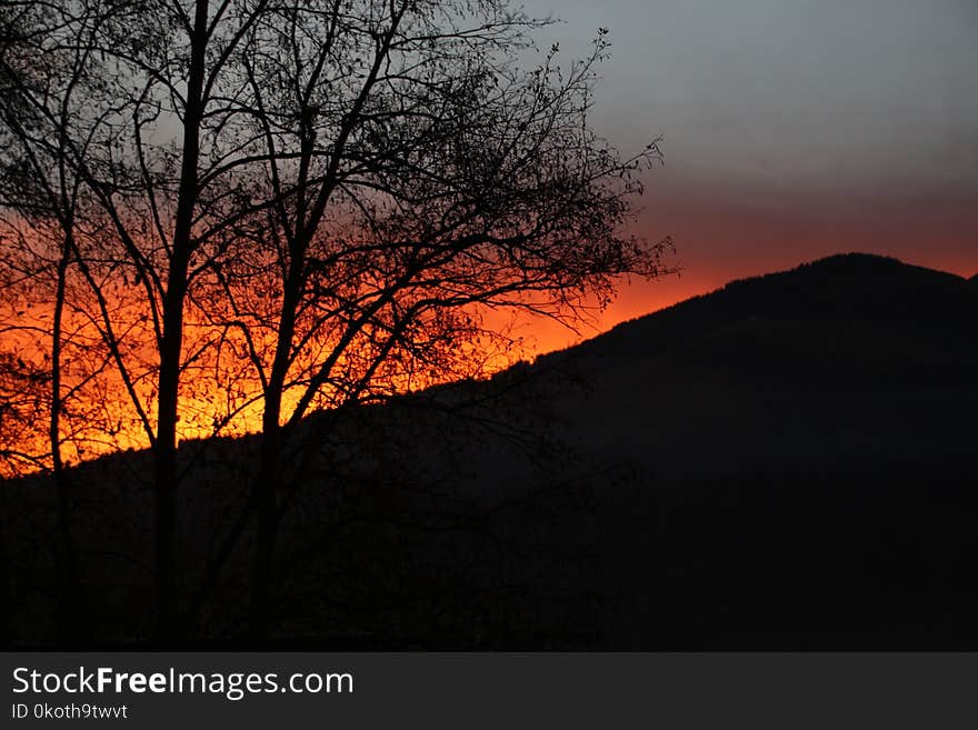 Sky, Sunrise, Tree, Sunset