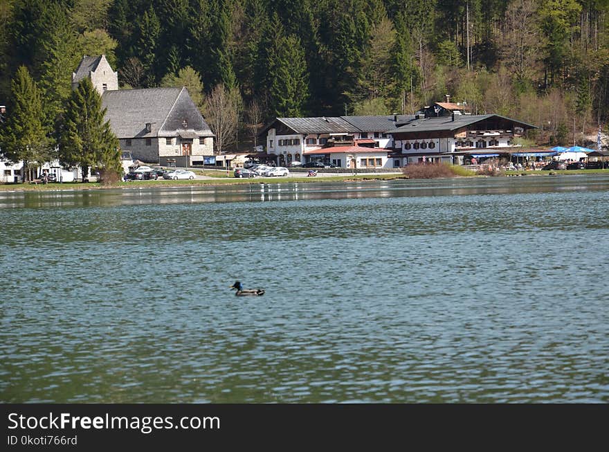 Water, Body Of Water, Lake, Reservoir