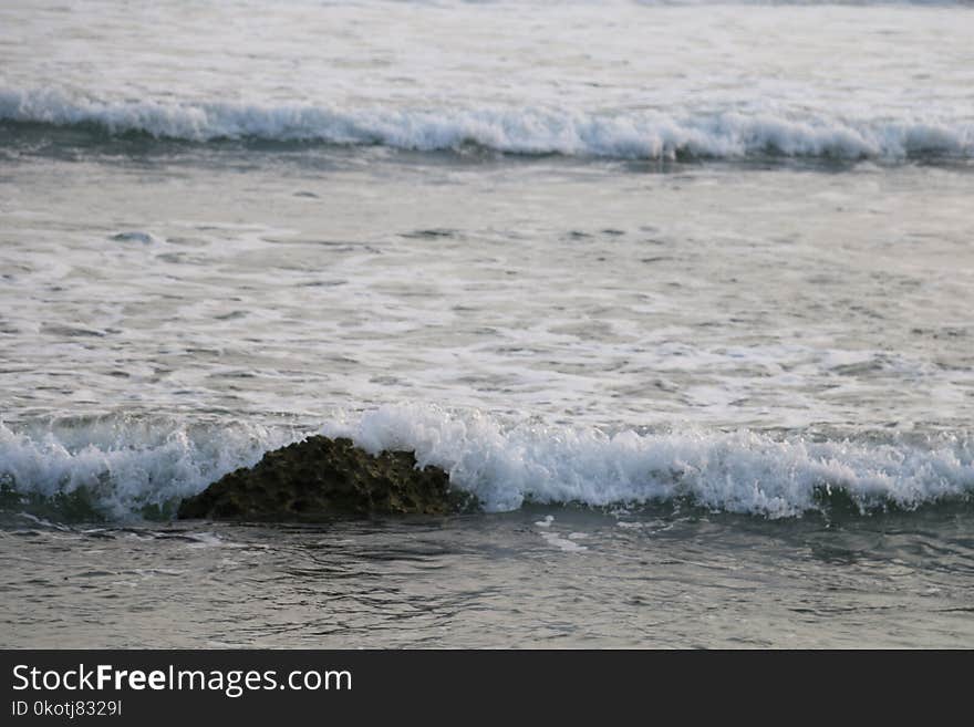 Wave, Wind Wave, Sea, Ocean