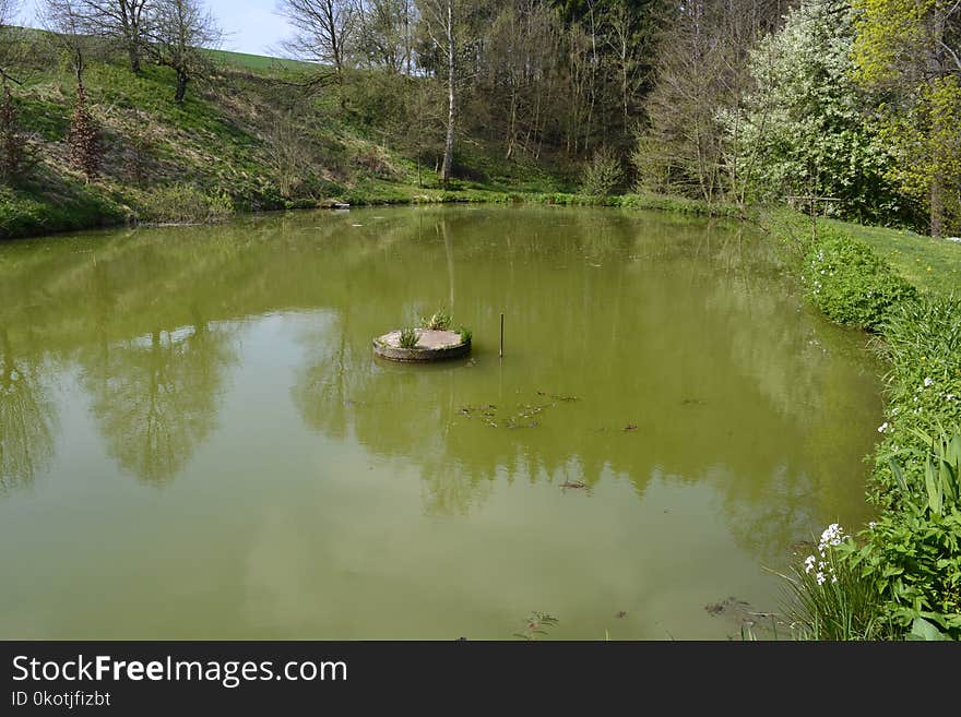 Water, Body Of Water, Nature Reserve, Pond