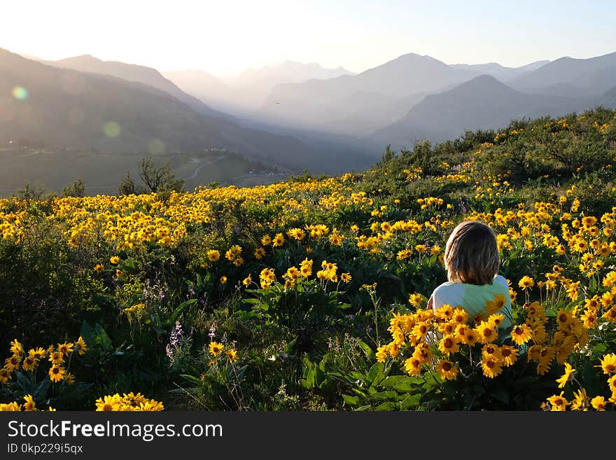 Carefree Woman Lying On Meadow With Sun Flowers Enjoying Sunrise Over Mountains And Relaxing.