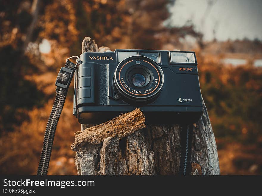 Shallow Focus Photography of Black Yashica Film Camera during Dawn