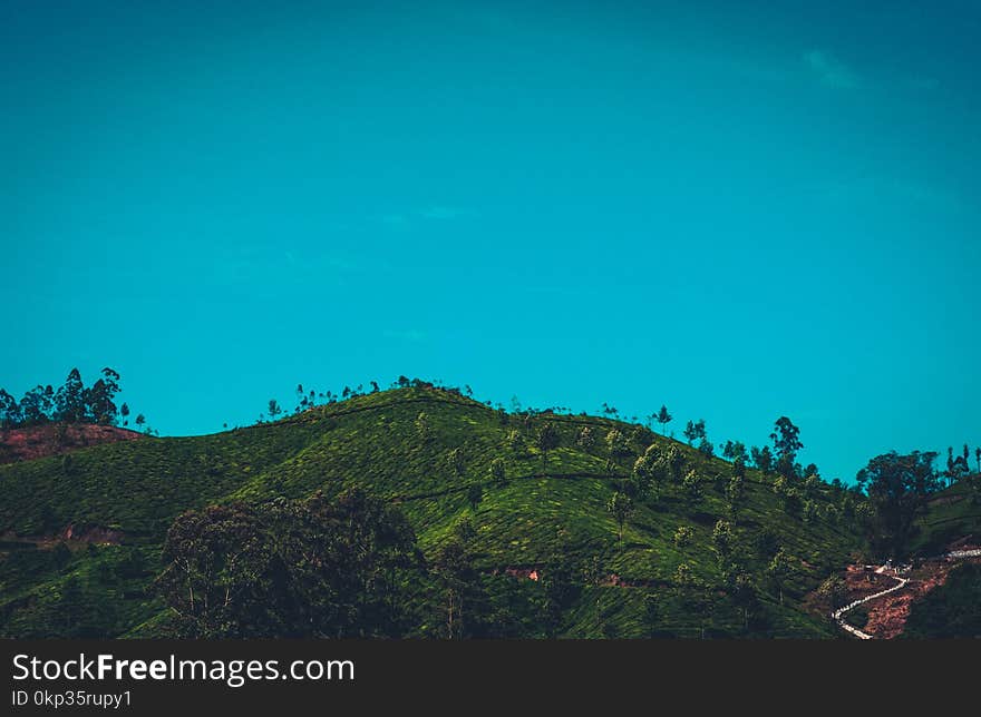 Green Forest Mountain Under Clear Sky