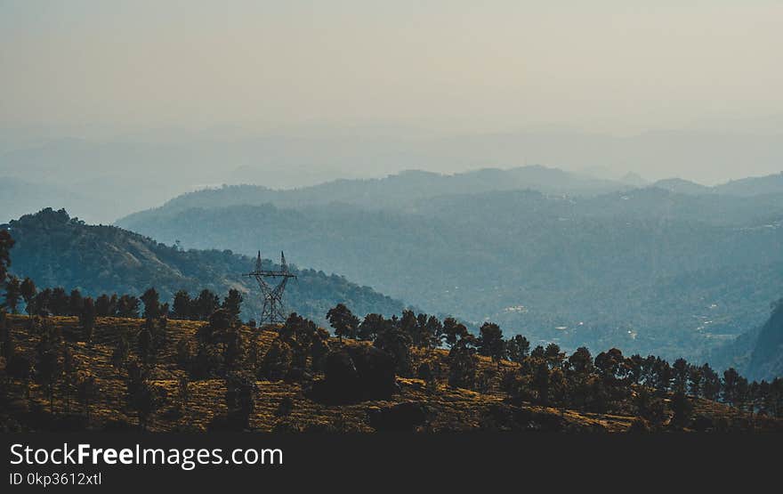 Trees on Mountain at Daytime Landscape Photography