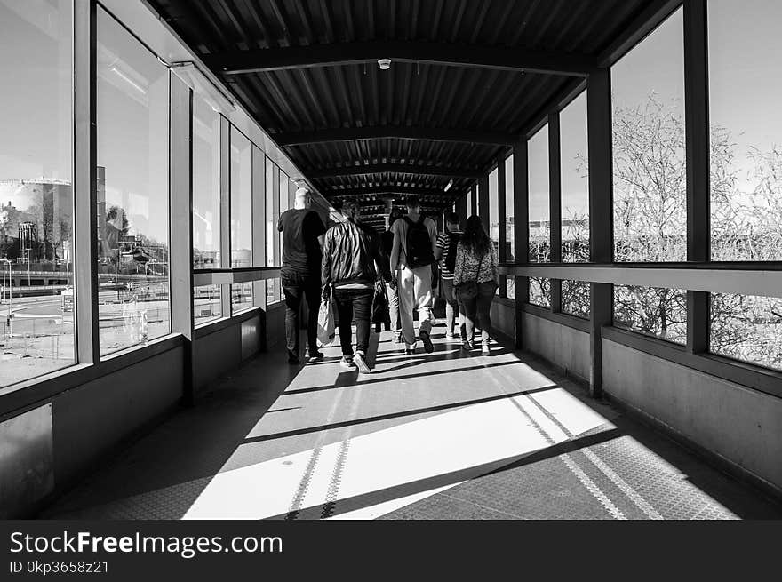 Group of People Walking Along Pathway