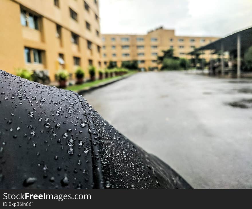 Selective Focus Photography of Black Umbrella With Dew Drops