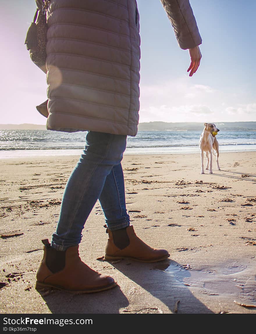 Person in Bubble Coat Walking on Beach Near Dog at Daytime