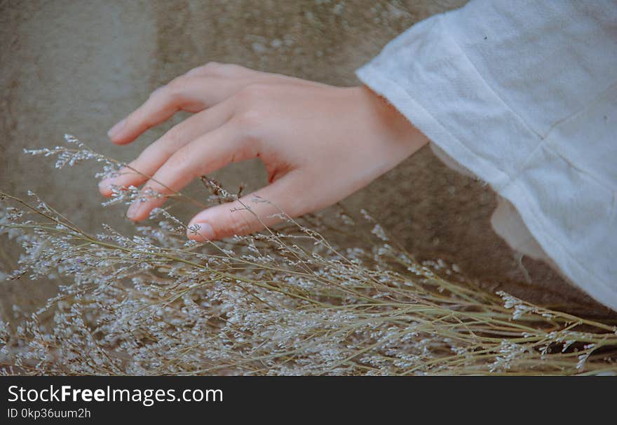 Close-Up Photography of Hand Near Plant