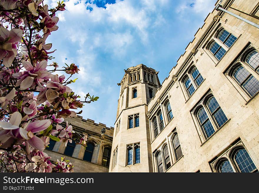 Low Angle Photography of Brown Concrete Building