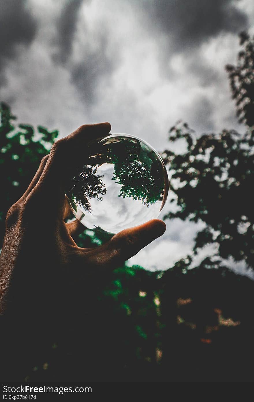 Ball Photography of Tree Under Gray Sky