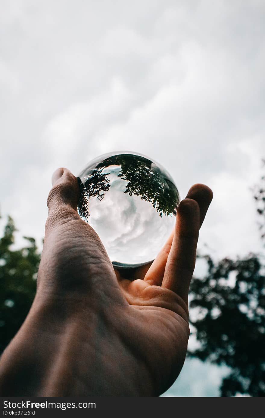 Photo of Person Holding Clear Glass Ball