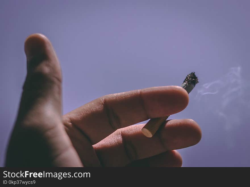 Person Holding Single Cigarette