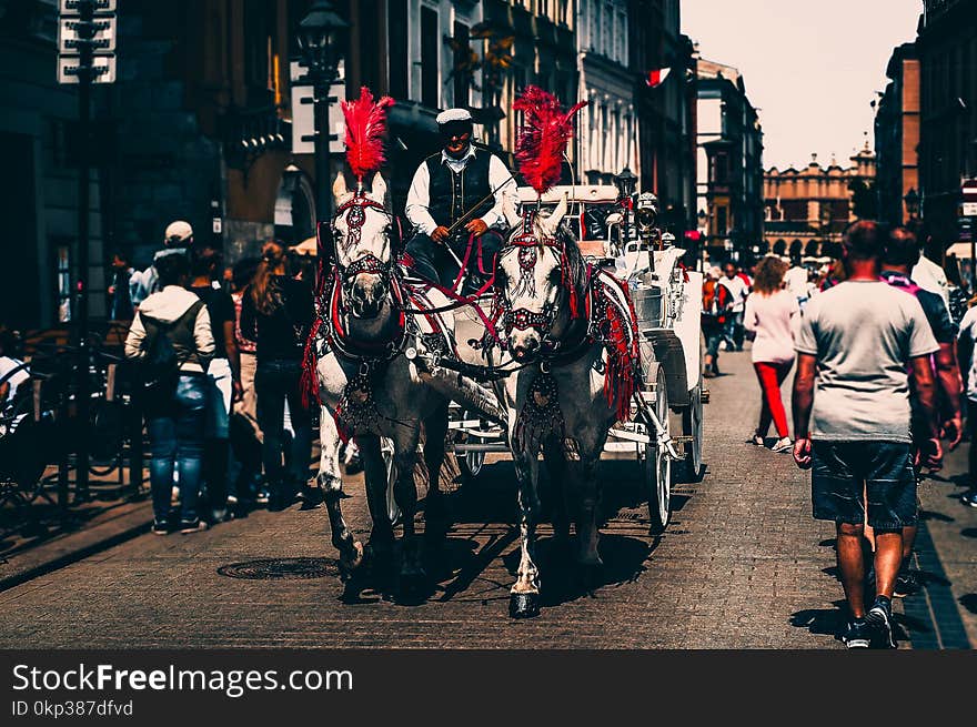 a man riding a Carriage