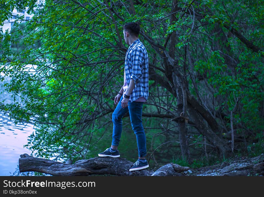 Man in Blue and Black Gingham Button-up Top Standing on Brown Wood Log in Forest