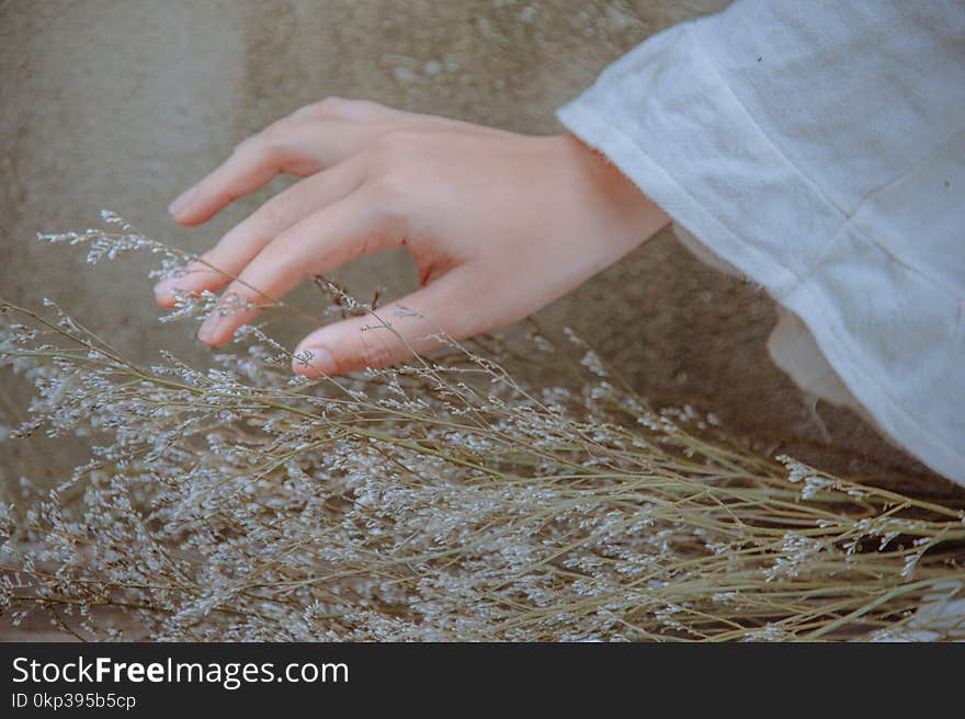 Close-Up Photography of Hand Near Plants