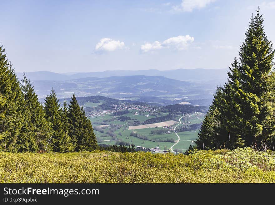 Landscape Photo of Green Grass Field